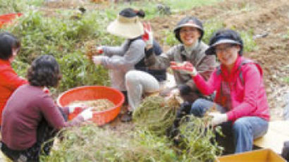 백석동 주민들, 직접 재배한 땅콩 경로당에 전달