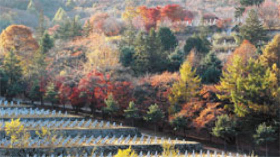 이정봉 기자의 도심 트레킹 ⑮ 서울의 국립현충원