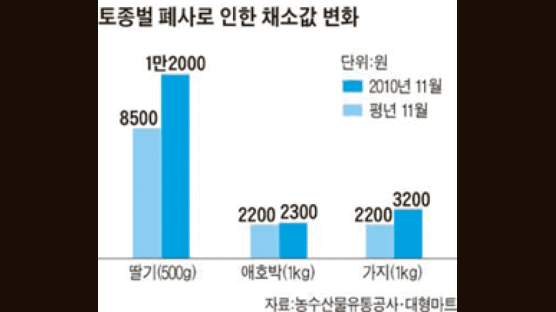 토종벌 떼죽음이 과일 값 올렸다