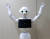 장병탁 서울대 컴퓨터공학부 교수의 바이오지능 연구팀이 개발한 인공지능을 소프트뱅크사의 인간형 로봇 &#39;페퍼&#39;에 탑재한 로봇 &#39;오페어(AUPAIR)&#39;. 임현동 기자