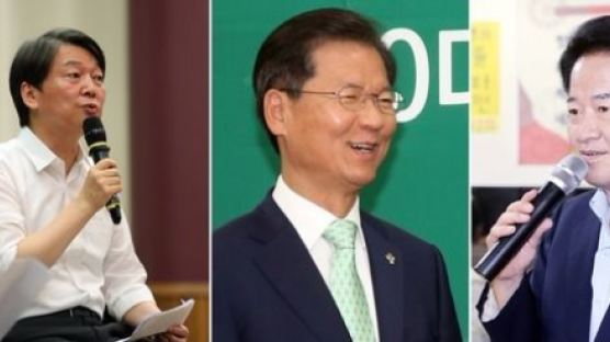 당권도전 안철수에 천정배·정동영 '단일화' 논의 급물살