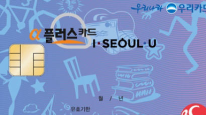 모텔·노래방·술집에서도 결제되는 서울시 청년수당 카드