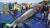 인천 소청도 해역에서 그물에 걸린 밍크고래 [사진 인천 해경]