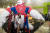 [어서 와, 코믹콘은 처음이지?] 코믹콘 서울을 찾은 여성 관람객이 전시장 입구에 설치된 대형 에어 피규어(Air Figure)를 배경으로 마블 수퍼 히어로로 변장한 코스튬 플레이어들과 사진을 촬영하고 있다.