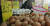 태국에서 판매중인 계란. 현재까지 1400만개 정도가 국내로 수입됐다.