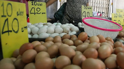 계란 유통 사실상 전면 중단...가뜩이나 비싼 계란, 금값 될라