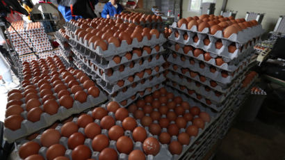 친환경 인증 남양주 산란계 농가에서 무허가 진드기 구제약품 사용하다 계란에서 살충제 성분 나왔다 