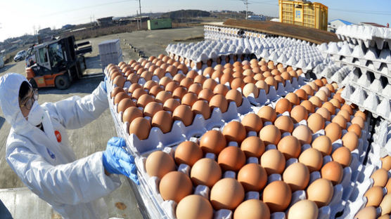 '계란 파동' 물가 비상...신선식품 가격 폭등에 계란이 기름 부은 격