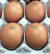 살충제 성분이 발견된 계란. 08마리라는 출하 산란계 농장이표시돼 있다. [중앙포토]