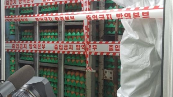 제주 제외한 전국에서 ‘살충제 계란’…농장 숫자늘고 새 농약성분도 검출