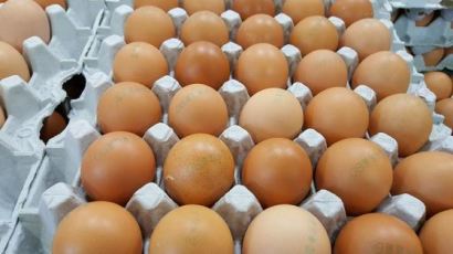 '살충제 계란' 3만여개, 제주서 시중에 이미 풀려…문자·방송자막 등 회수 노력