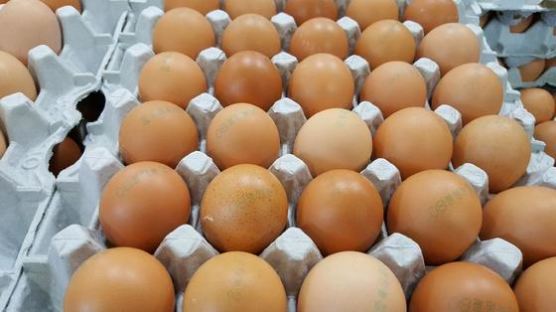 '살충제 계란' 3만여개, 제주서 시중에 이미 풀려…문자·방송자막 등 회수 노력