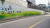 서울시 용미리묘지에 그려진 벽화. 민들레가 피고 지는 모습을 그려넣었다. [사진 서울시]
