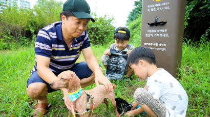 반려동물 1000만 시대 '펫티켓' 현실은...목줄 무시하고, 배설물 안 치우고