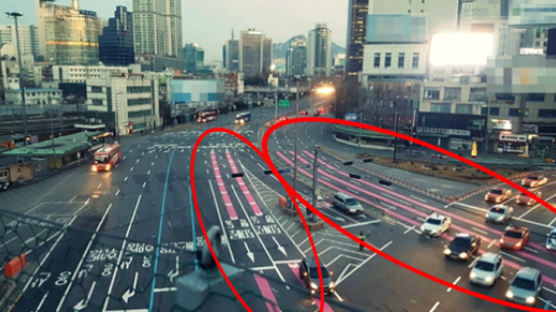 서울시, 핑크색 주행유도선 더 만든다