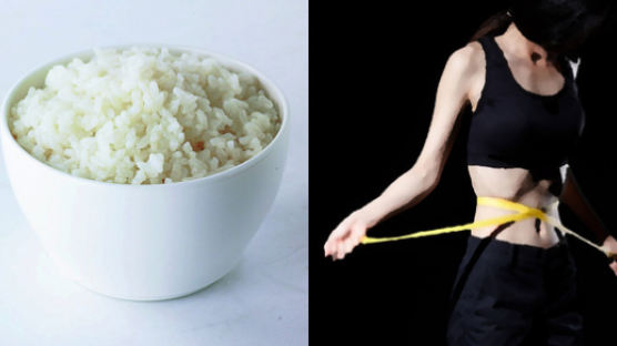 "냉장고에 12시간" 쌀밥 칼로리 '반'으로 줄이는 마법