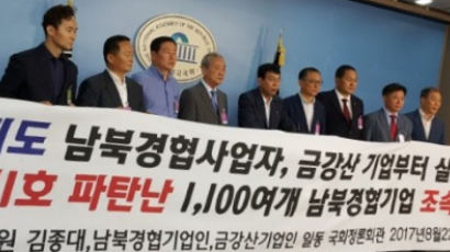 김종대 의원 "금강산· 내륙기업 투자 손실 해결해야"