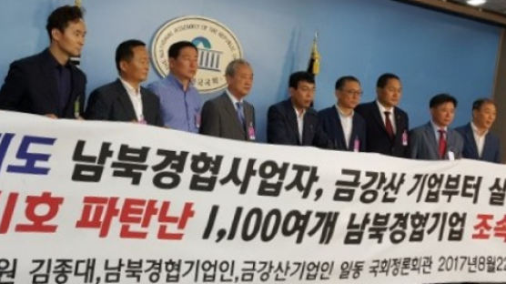 김종대 의원 "금강산· 내륙기업 투자 손실 해결해야"