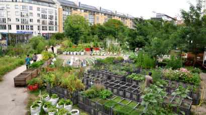 공터를 정원으로 바꾼 베를린 … 도시 재생 노하우 나눈다