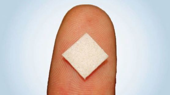 '소금 0.1g으로 충분한 짠맛' 日, 저염식 섭취 환자 위한 '소금 칩' 개발