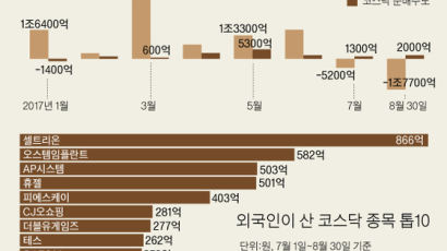 외국인의 귀환, 볕 드는 코스닥