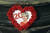 29일 프랑스 파리 센강에 세워져있는 자유의 여신상 밑에 놓여진 다이애나 20주기 추모 장미꽃.[AFP=연합뉴스]