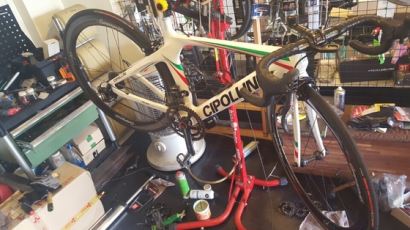보험사기에 동원된 '자전거계의 람보르니기' 치폴리니 ... 값은? 