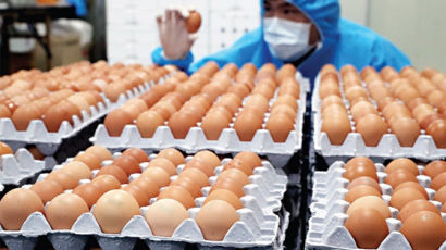 [없어서 못 판다는 '서울대 계란' 목장 가보니] 소비자 직판매로 소매가 낮추고 사육장 자연 건조로 안전성 높여 