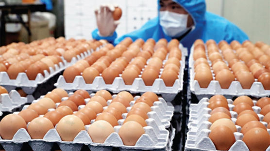 [없어서 못 판다는 '서울대 계란' 목장 가보니] 소비자 직판매로 소매가 낮추고 사육장 자연 건조로 안전성 높여 
