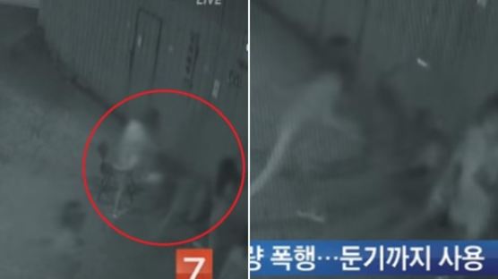 CCTV에 잡힌 잔혹한 '부산 여중생 폭행'
