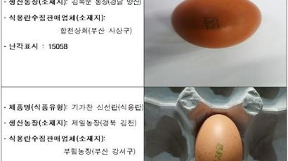 '살충제 계란' 농장 2곳 유통 단계에서 추가 발견