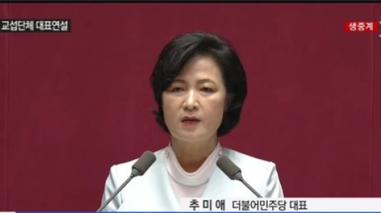 추미애 "북미-남북간 '투 트랙 대화' 추진…野, 정부 비판에 골몰"