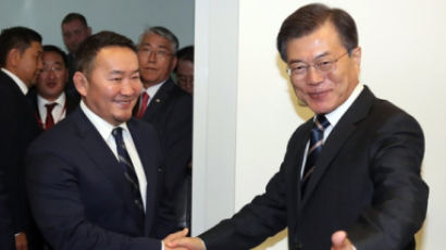 몽골 대통령 만난 문재인 대통령 "한·몽골 관계 획기적인 발전 기대"