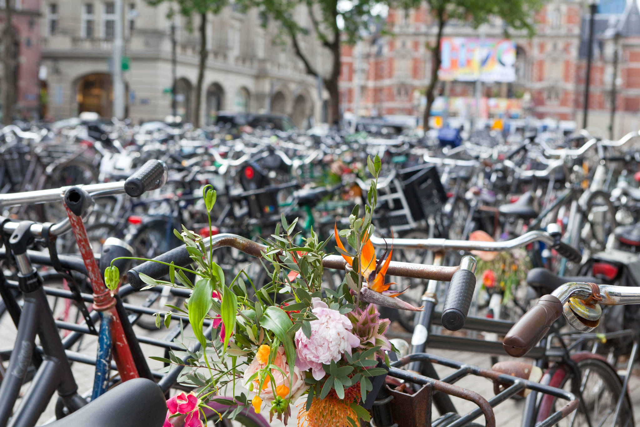 암스테르담은 인구보다 자전거가 많은 자전거 친화도시다. 