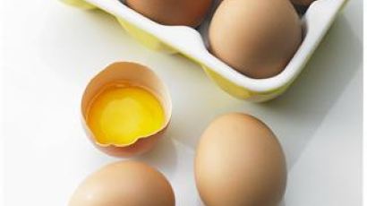 '계란의 눈물 멈추자'…정부‧양계협회, 안전한 계란 위해 제도적 개선 나서