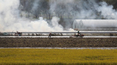日, 일손 부족에 외국인 농업인력 3년간 취업 허용