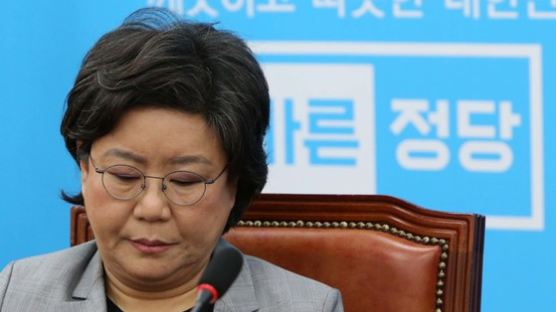 이철성 경찰청장 "이혜훈 전 대표, 정치자금법 위반 소지"…입건·檢 송치시 소환조사 불가피