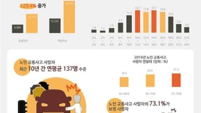 서울시 노인 교통사고, 10년새 2배…사망자 73% '보행 중 사고'