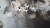 11일 부산 일대에 물폭탄이 쏟아지면서 부산 사상구청 앞 도로가 마비됐다. [사진 부산경찰청]
