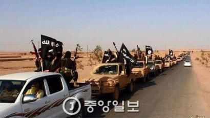 "IS 조직원 가족 중 한국인 있다" 외신 보도에 외교부 사실관계 나서