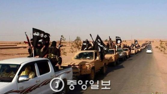 "IS 조직원 가족 중 한국인 있다" 외신 보도에 외교부 사실관계 나서
