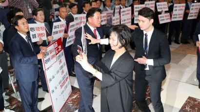 민주당 손혜원 의원 “국회법 무기명 없애는 법안 준비합시다” 