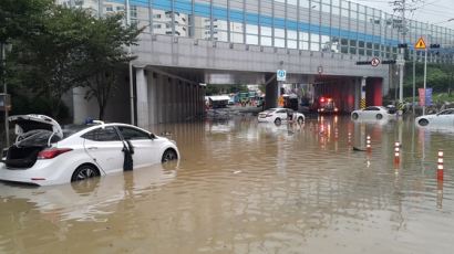 '부산 폭우' 피해 와중에 8박 10일 유럽연수 떠난 구의원·구청장