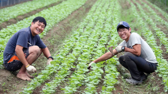 [리셋 코리아] 법대 박차고 나온 초보 돕는 선배 농부 “농촌은 좋은 직장이자 삶터”
