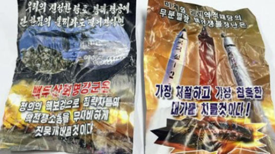 인천 도심서 북한 탄도미사일 선전 대남전단 발견
