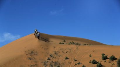 [서소문사진관] 네이멍구 쿠부치 사막, 희망의 숲 가꾸기