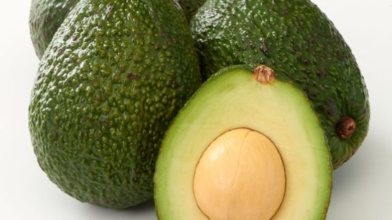 생소했던 과일 ‘아보카도’ 6년새 수입 6배 증가 이유는?