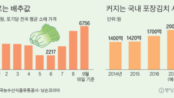 포장김치의 진화 … 나만의 맛, 팔도의 맛까지 담는다