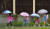 가을비치곤 많은 비가 내린 11일 오전 대전 서구의 한 초등학교 학생들이 우산을 쓰고 등교하고 있다.김성태 기자