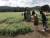 지난 11일 전국에서 가장 넓은 제주시 오라동 메밀밭을 찾은 관광객들이 메밀밭과 돌하르방을 배경으로 사진을 찍고 있다. 최충일기자